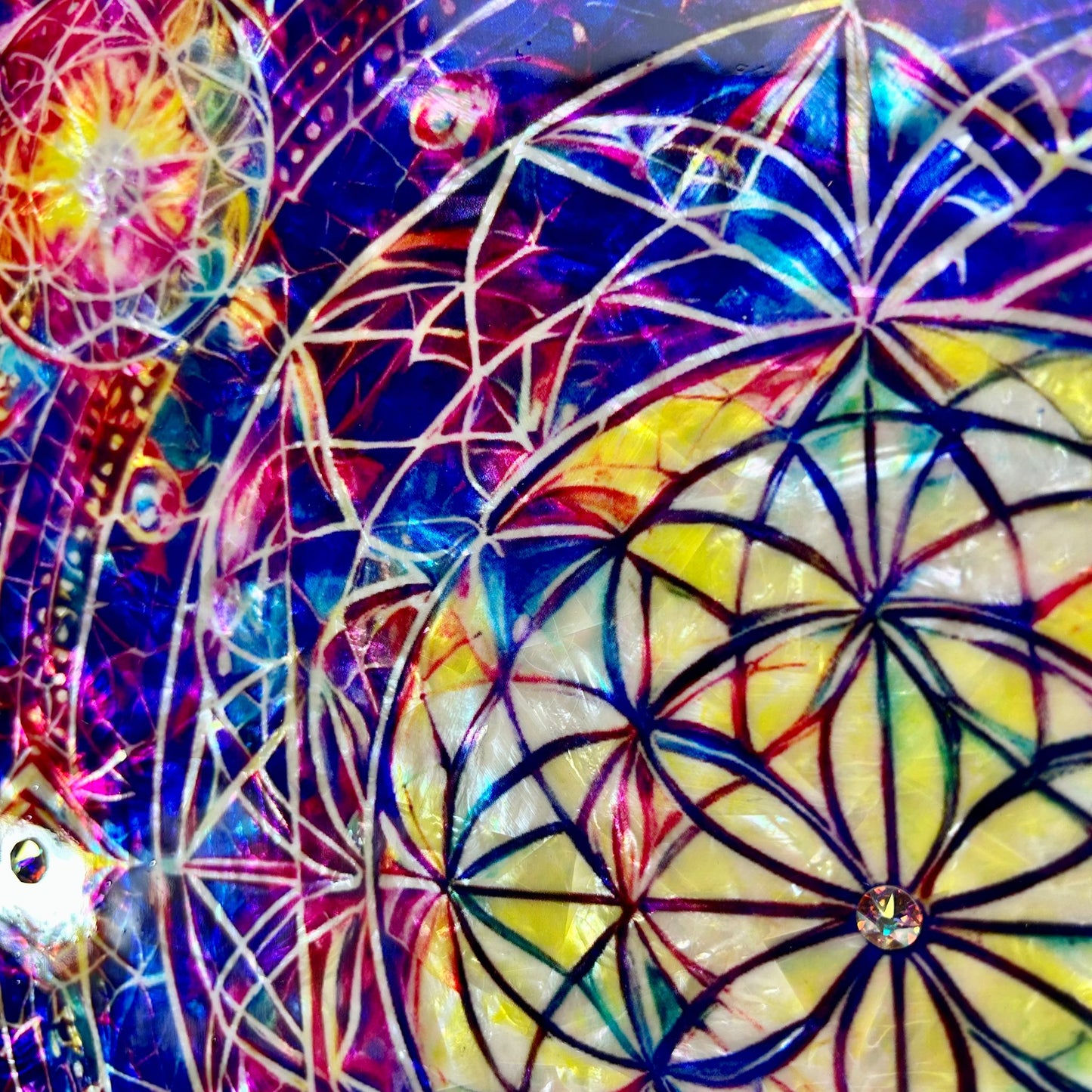 FLOWER OF THE UNIVERSE - portale energetico