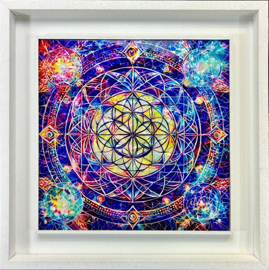 portale energetico sacro fiore della vita