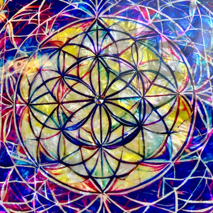 FLOWER OF THE UNIVERSE - portale energetico