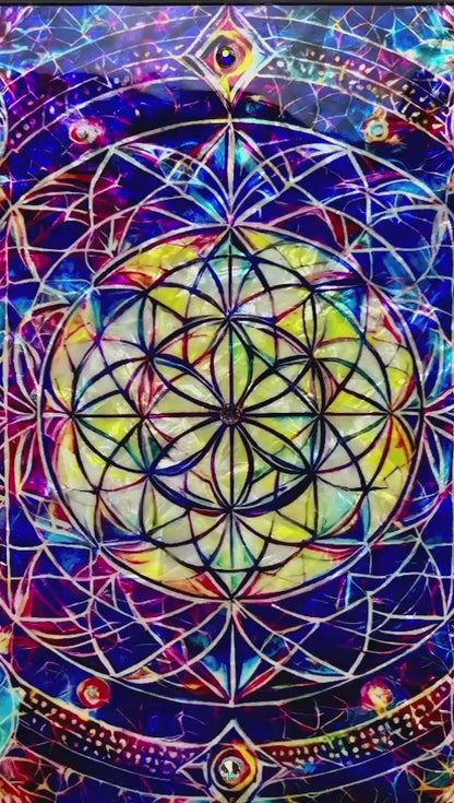 FLOWER OF THE UNIVERSE - portale energetico
